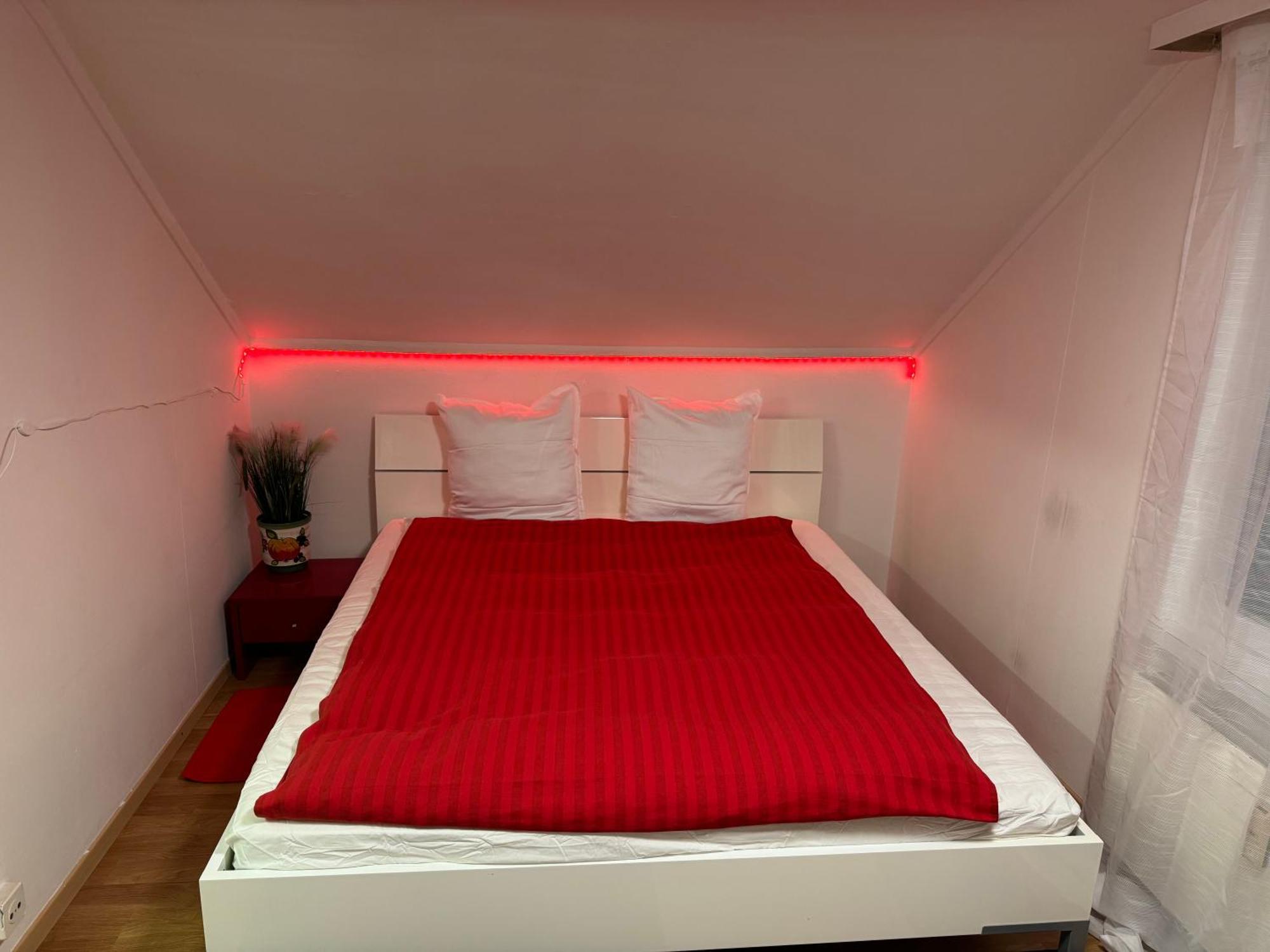 Nice Apartment St. Gallen Zewnętrze zdjęcie
